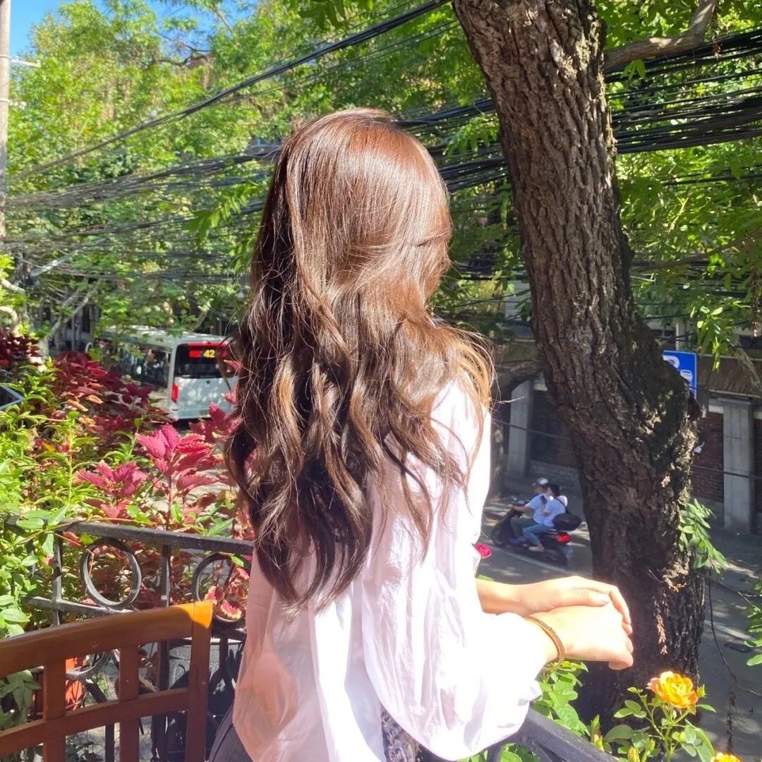 使君有妇